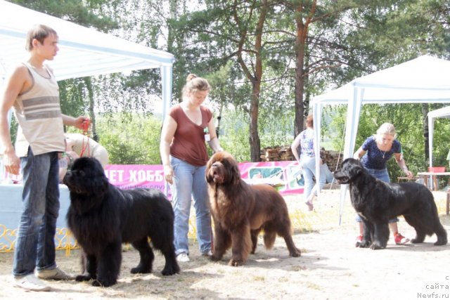 Фотография № 48581