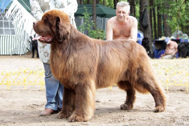 Фотография № 48587