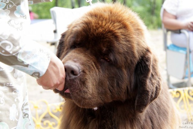 Фотография № 48589