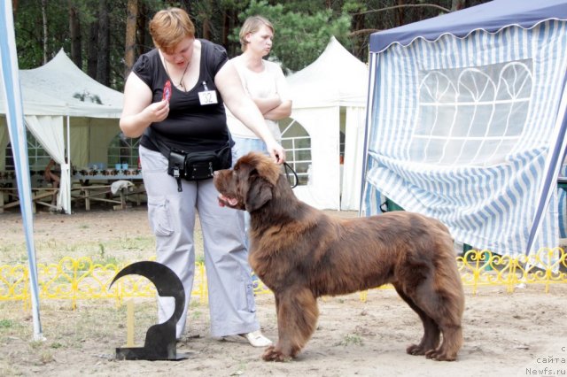 Фотография № 48590