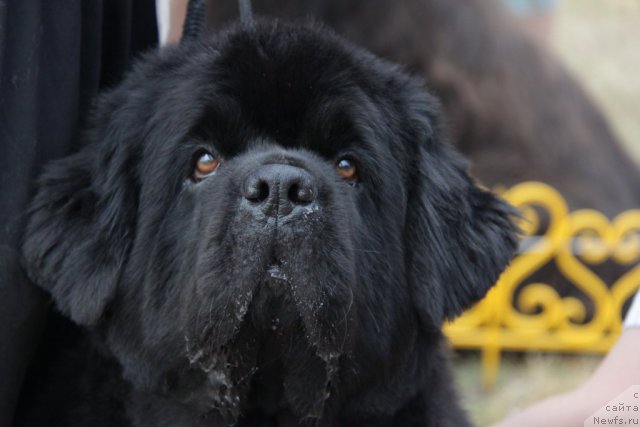 Фотография № 48593