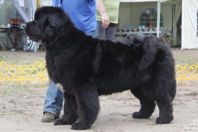 Фотография № 48595