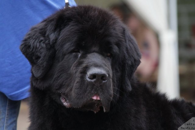 Фотография № 48596