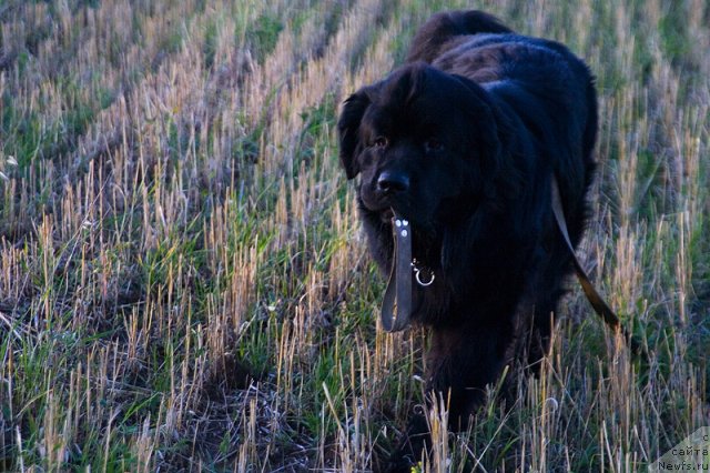 Фотография № 48610