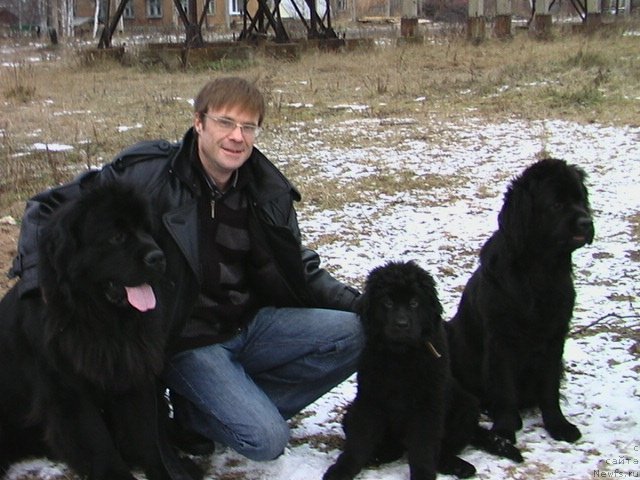 Фото: Алексей Чернов