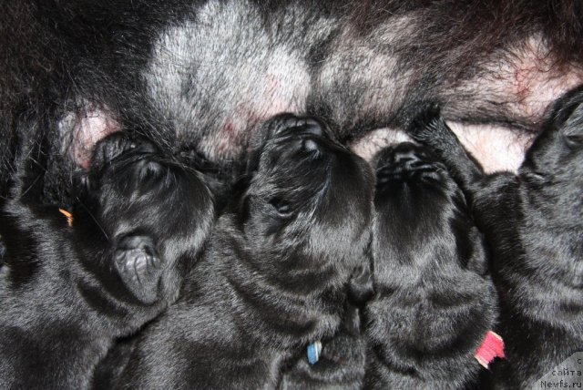 Фото: Дети [d7926]