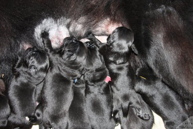 Фото: Дети [d7926]