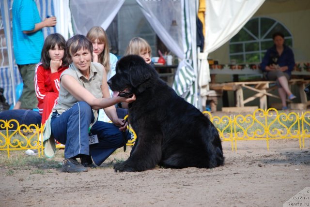 Фотография № 48638