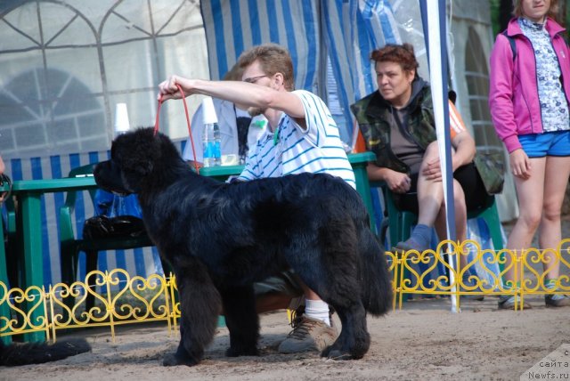 Фотография № 48639