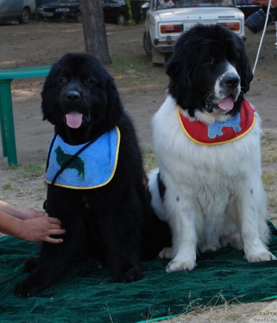 Фотография № 48640