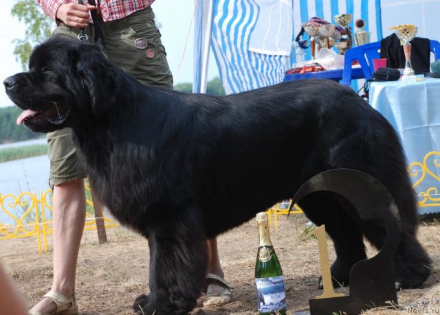 Фотография № 48644