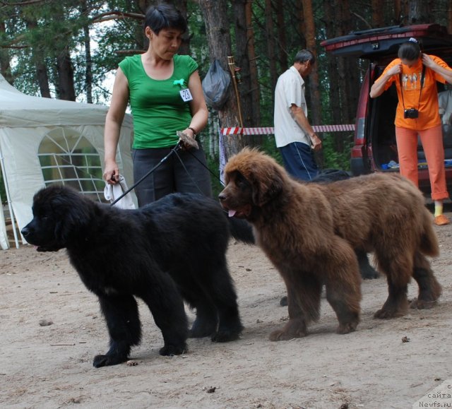 Фотография № 48645