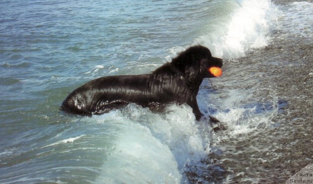 Фотография № 48648