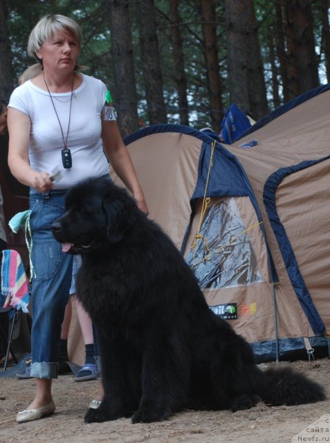 Фотография № 48657