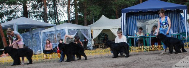 Фотография № 48659