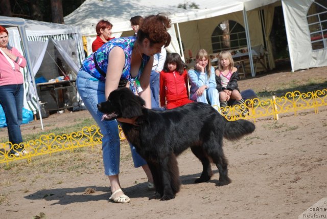 Фотография № 48660