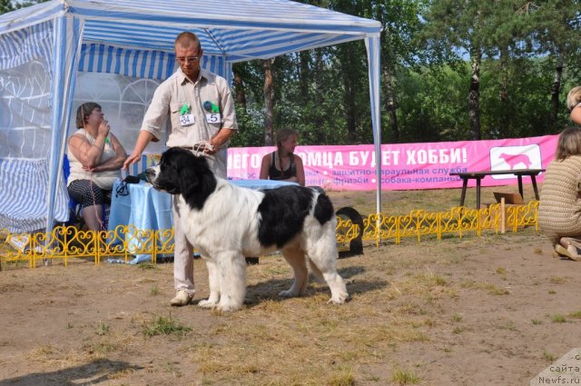 Фотография № 48662