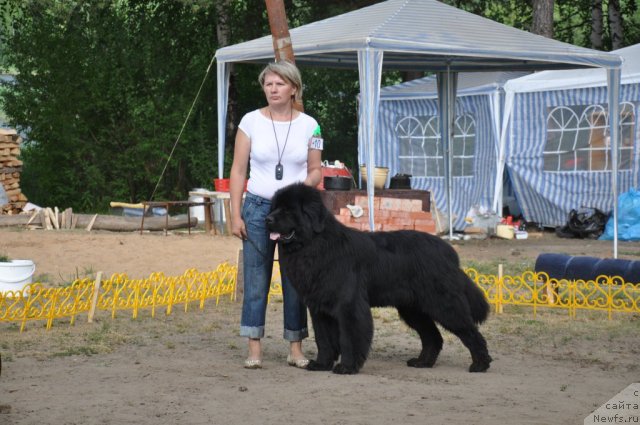 Фотография № 48666