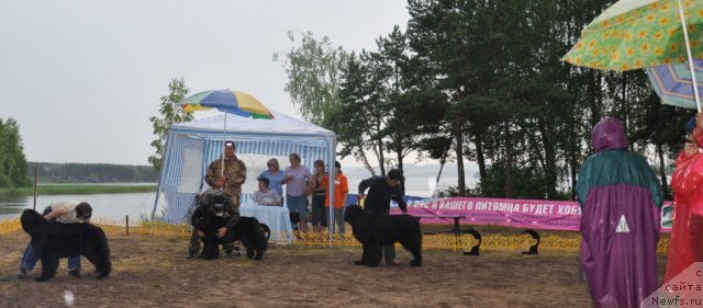 Фотография № 48679