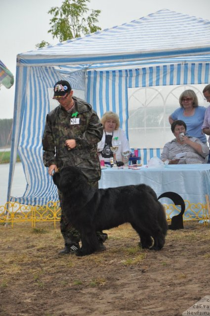 Фотография № 48680