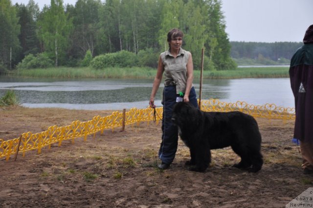 Фотография № 48681