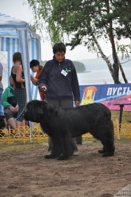 Фотография № 48682