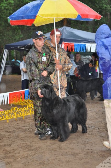 Фотография № 48684