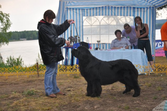 Фотография № 48686