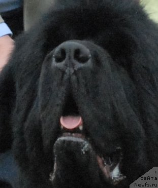 Фотография № 48689