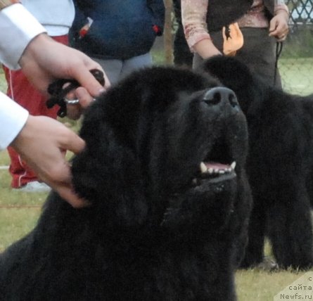 Фотография № 48690