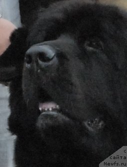 Фотография № 48692