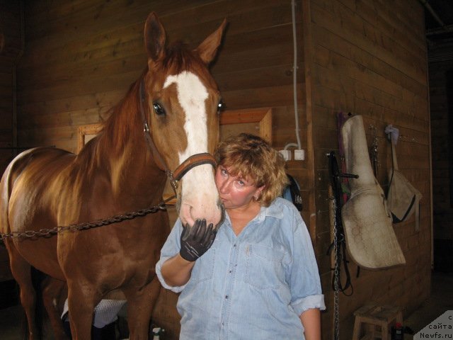 Фото: Елена Шигаль