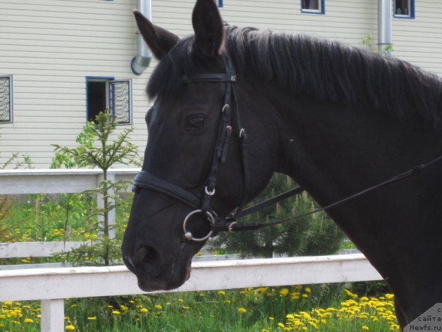 Фотография № 48697