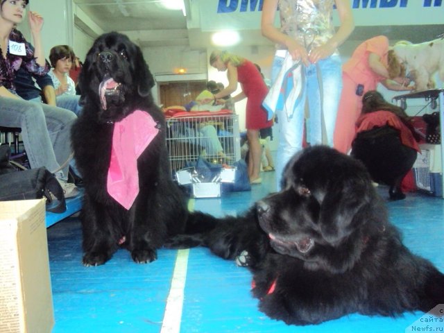 Фотография № 48698