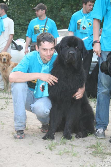 Фото: ньюфаундленд Усатый Нянь Тимоша