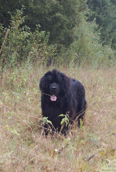 Фотография № 48740