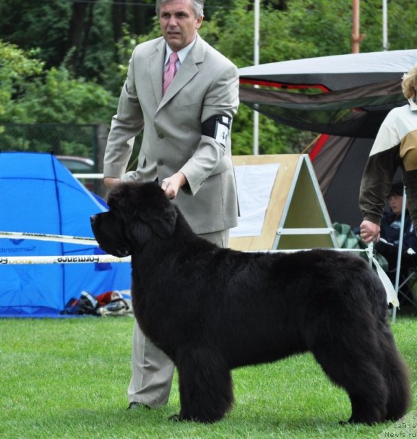 Фото: BLACK PRETENDER KAZKO SLUPSKI