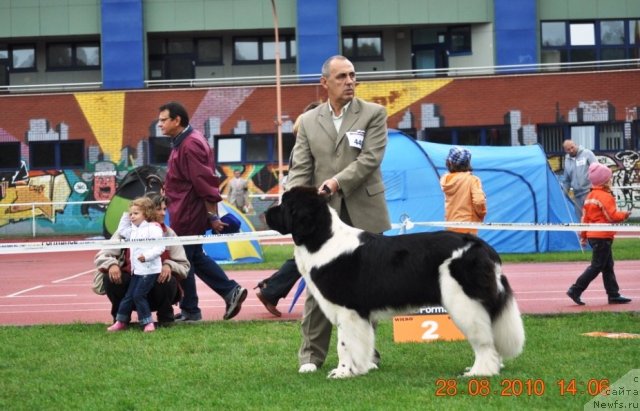 Фотография № 48743