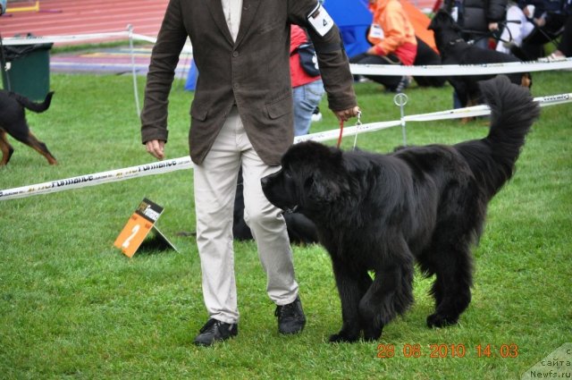 Фото: NORKROS LUKE SKYWALKER