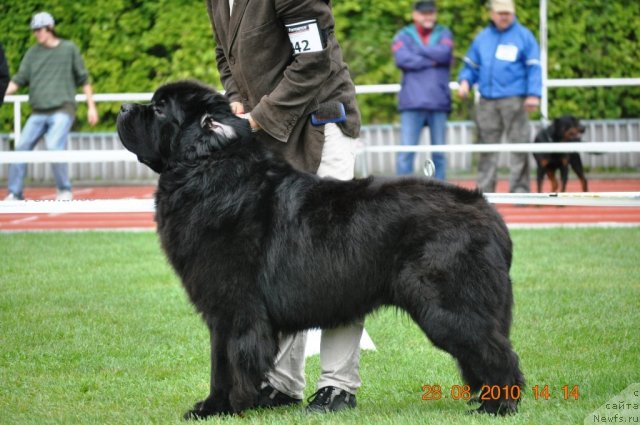 Фотография № 48752