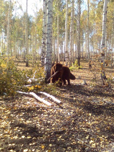 Фотография № 48884