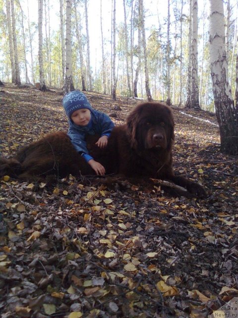 Фотография № 48887