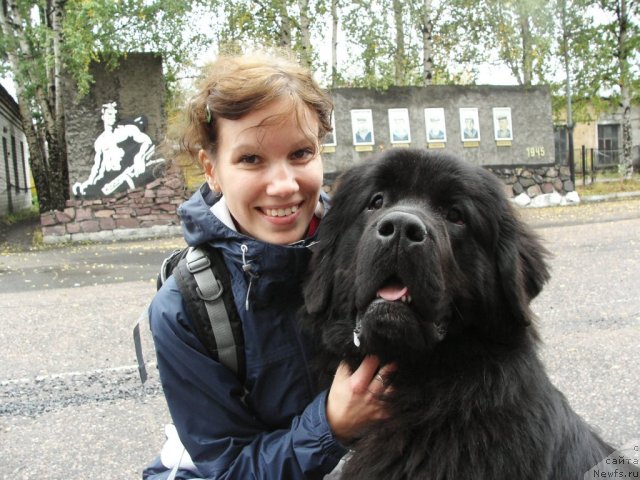 Фотография № 48898