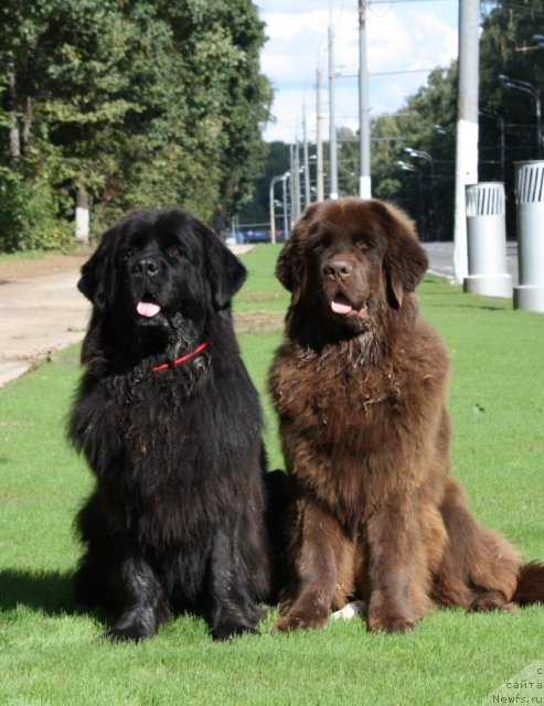 Фотография № 48907