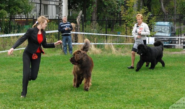 Фотография № 48916