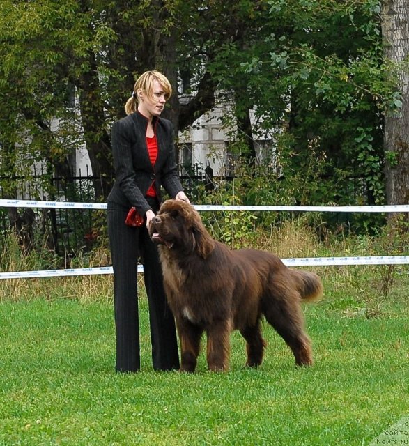 Фотография № 48920