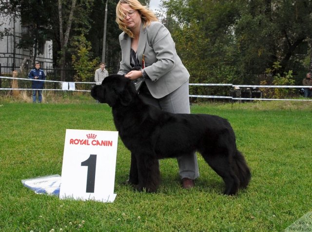 Фотография № 48921