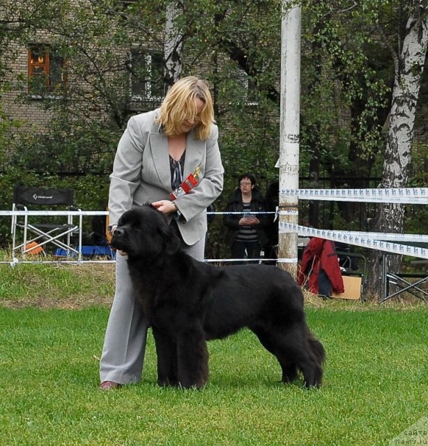 Фотография № 48922