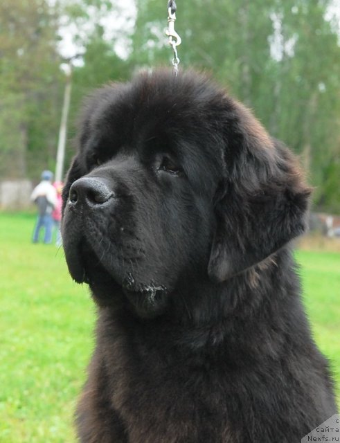 Фотография № 48923