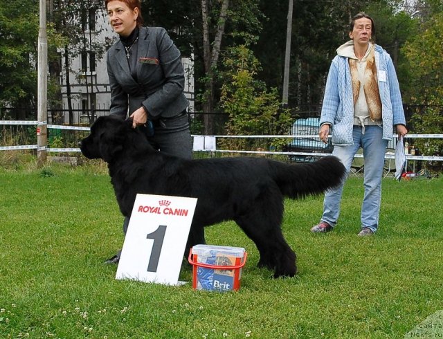 Фотография № 48924